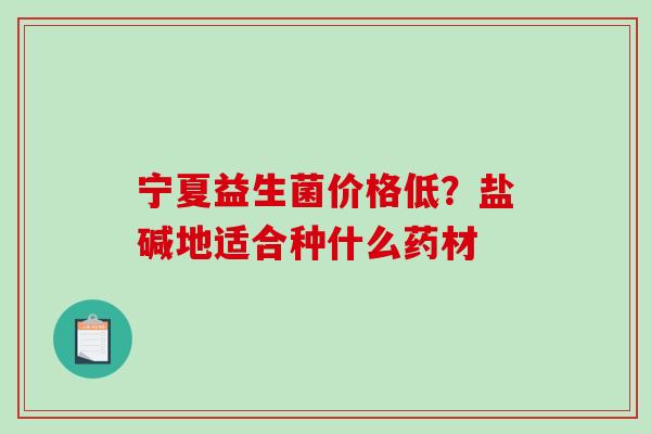 宁夏益生菌价格低？盐碱地适合种什么药材