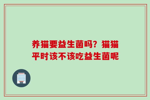 养猫要益生菌吗？猫猫平时该不该吃益生菌呢