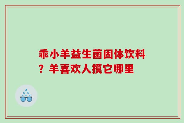 乖小羊益生菌固体饮料？羊喜欢人摸它哪里