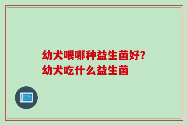 幼犬喂哪种益生菌好？幼犬吃什么益生菌