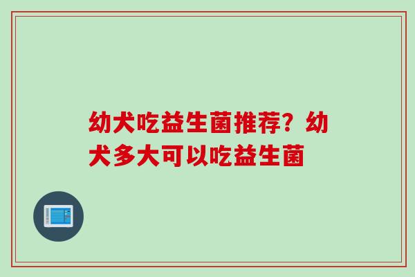 幼犬吃益生菌推荐？幼犬多大可以吃益生菌