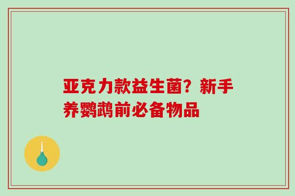 亚克力款益生菌？新手养鹦鹉前必备物品
