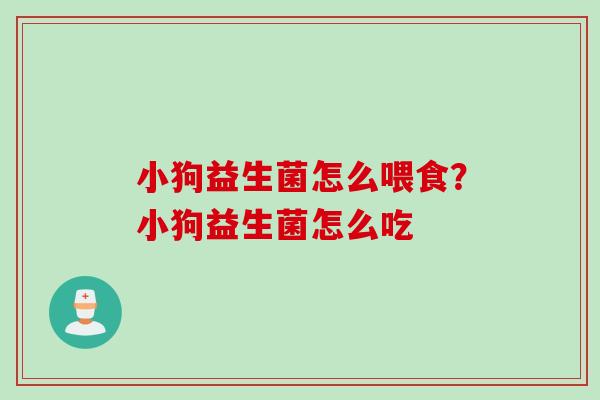 小狗益生菌怎么喂食？小狗益生菌怎么吃