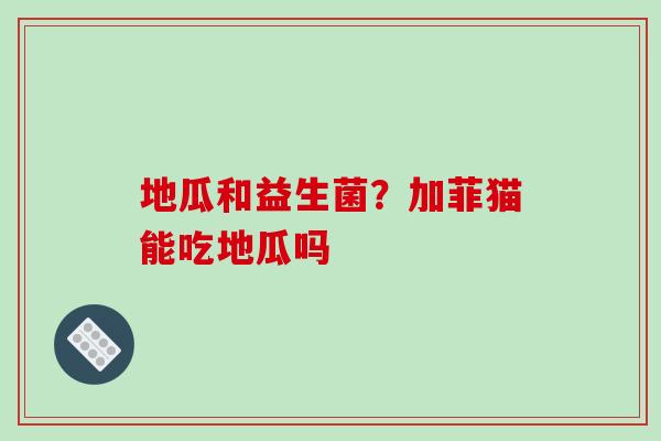 地瓜和益生菌？加菲猫能吃地瓜吗