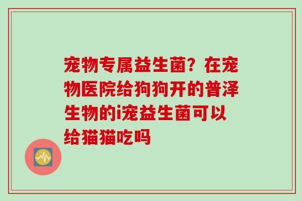 宠物专属益生菌？在宠物医院给狗狗开的普泽生物的i宠益生菌可以给猫猫吃吗