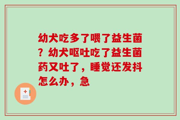 幼犬吃多了喂了益生菌？幼犬吃了益生菌药又吐了，睡觉还发抖怎么办，急