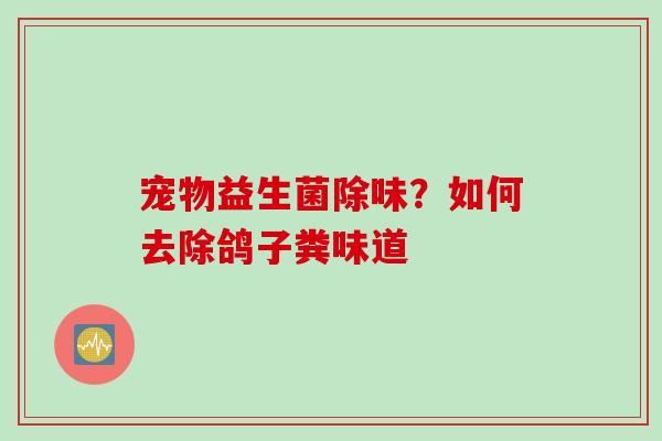 宠物益生菌除味？如何去除鸽子粪味道