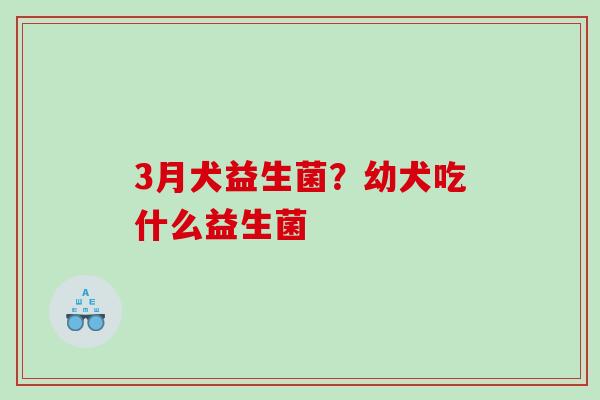 3月犬益生菌？幼犬吃什么益生菌
