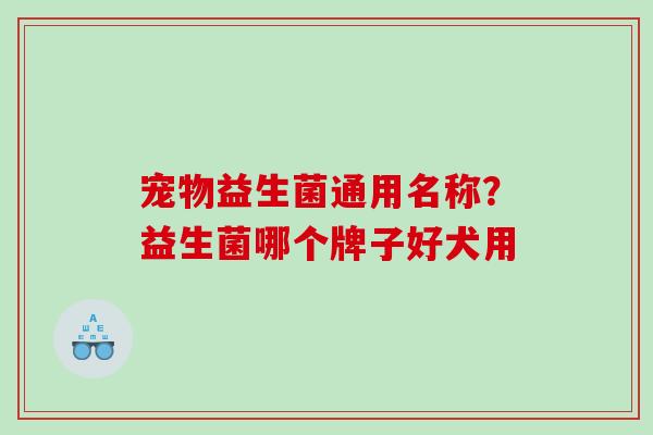 宠物益生菌通用名称？益生菌哪个牌子好犬用