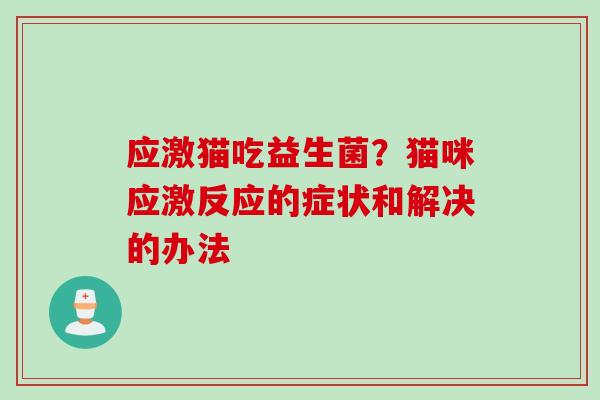 应激猫吃益生菌？猫咪应激反应的症状和解决的办法