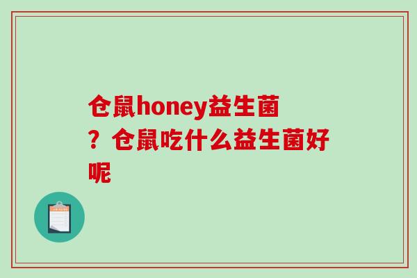 仓鼠honey益生菌？仓鼠吃什么益生菌好呢