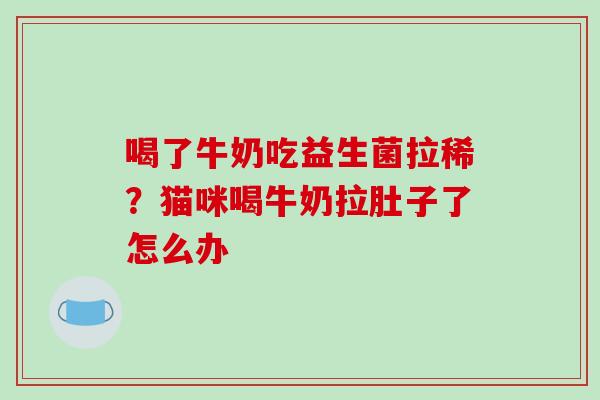 喝了牛奶吃益生菌拉稀？猫咪喝牛奶拉肚子了怎么办