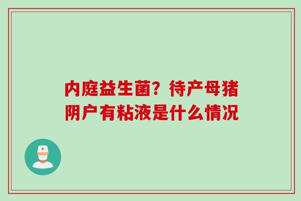 内庭益生菌？待产母猪阴户有粘液是什么情况