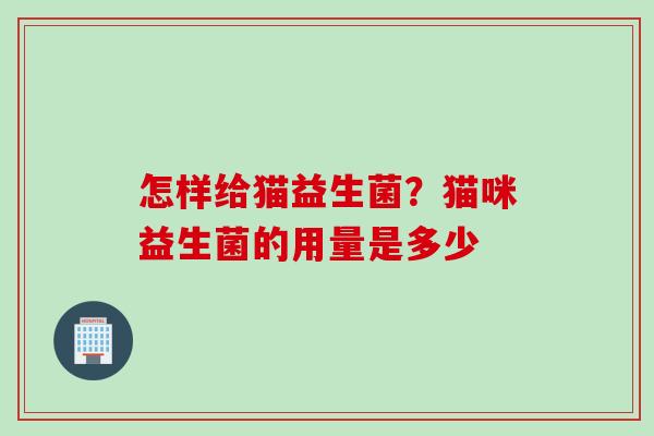 怎样给猫益生菌？猫咪益生菌的用量是多少