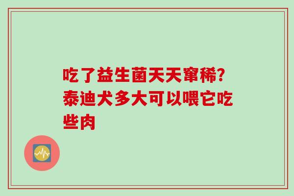 吃了益生菌天天窜稀？泰迪犬多大可以喂它吃些肉
