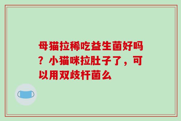 母猫拉稀吃益生菌好吗？小猫咪拉肚子了，可以用双歧杆菌么