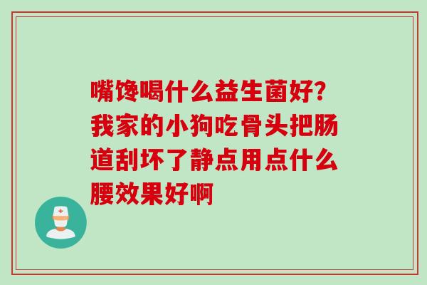 嘴馋喝什么益生菌好？我家的小狗吃骨头把肠道刮坏了静点用点什么腰效果好啊