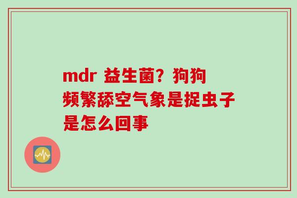 mdr 益生菌？狗狗频繁舔空气象是捉虫子是怎么回事