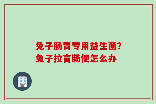 兔子肠胃专用益生菌？兔子拉盲肠便怎么办