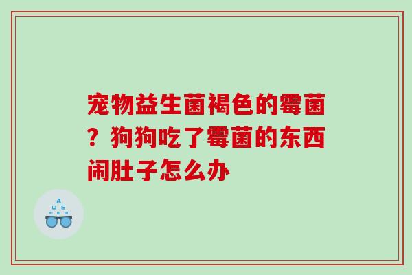 宠物益生菌褐色的霉菌？狗狗吃了霉菌的东西闹肚子怎么办