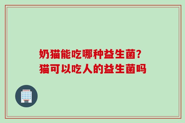 奶猫能吃哪种益生菌？猫可以吃人的益生菌吗
