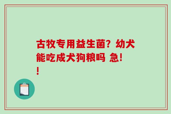 古牧专用益生菌？幼犬能吃成犬狗粮吗 急!!