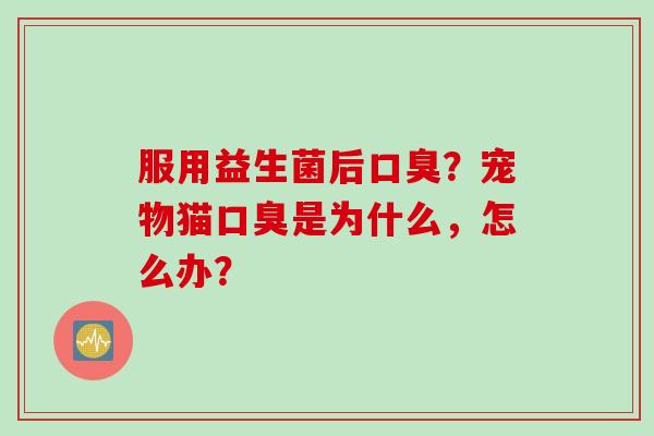 服用益生菌后？宠物猫是为什么，怎么办？