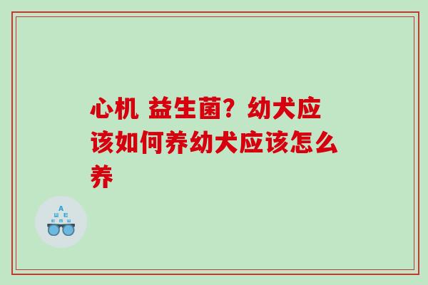 心机 益生菌？幼犬应该如何养幼犬应该怎么养