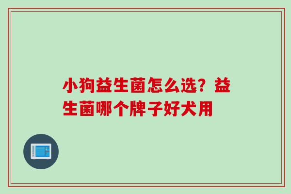 小狗益生菌怎么选？益生菌哪个牌子好犬用