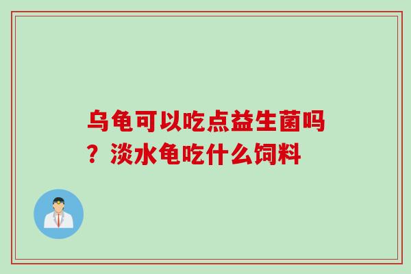 乌龟可以吃点益生菌吗？淡水龟吃什么饲料