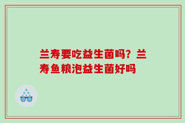 兰寿要吃益生菌吗？兰寿鱼粮泡益生菌好吗