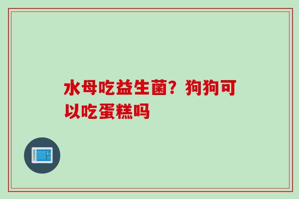 水母吃益生菌？狗狗可以吃蛋糕吗