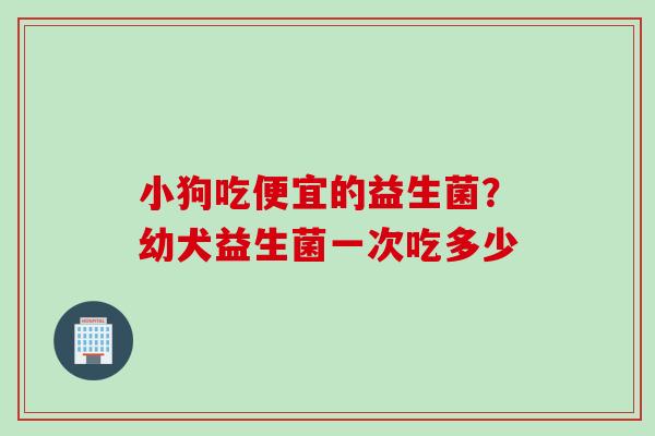 小狗吃便宜的益生菌？幼犬益生菌一次吃多少