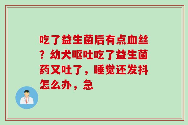 吃了益生菌后有点血丝？幼犬呕吐吃了益生菌药又吐了，睡觉还发抖怎么办，急