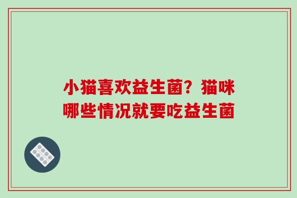 小猫喜欢益生菌？猫咪哪些情况就要吃益生菌
