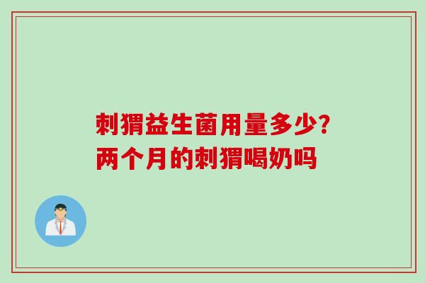 刺猬益生菌用量多少？两个月的刺猬喝奶吗