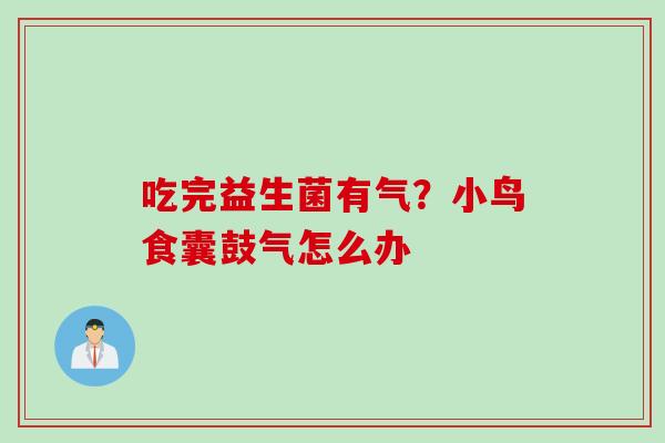 吃完益生菌有气？小鸟食囊鼓气怎么办
