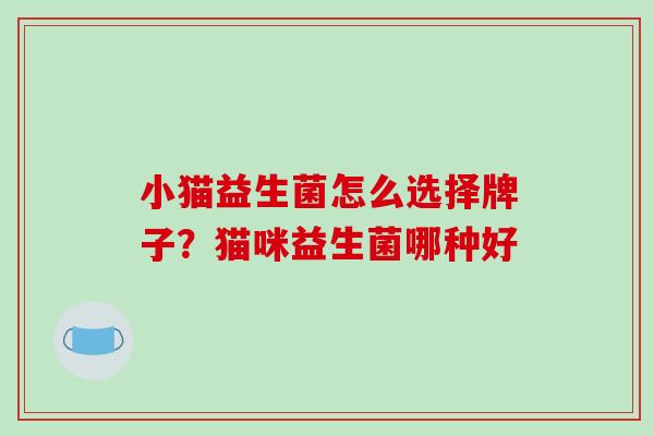 小猫益生菌怎么选择牌子？猫咪益生菌哪种好