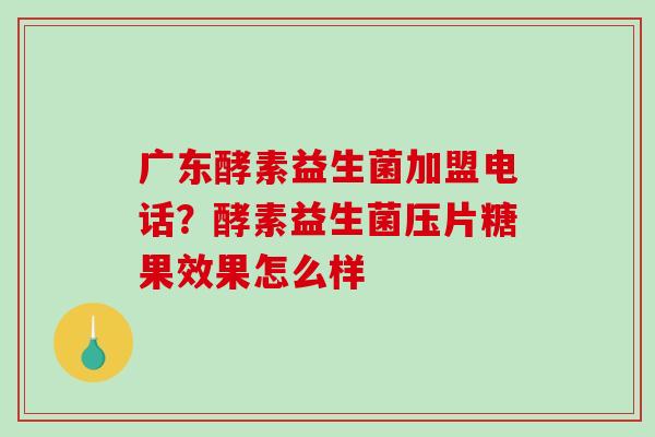 广东酵素益生菌加盟电话？酵素益生菌压片糖果效果怎么样