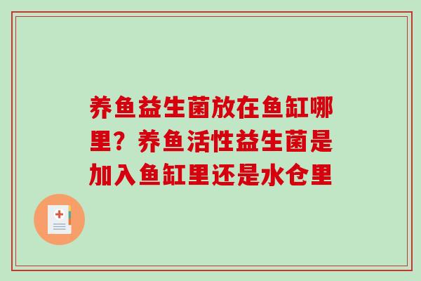 养鱼益生菌放在鱼缸哪里？养鱼活性益生菌是加入鱼缸里还是水仓里