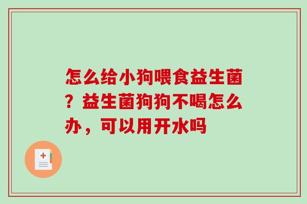 怎么给小狗喂食益生菌？益生菌狗狗不喝怎么办，可以用开水吗