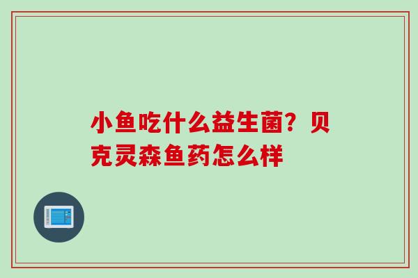 小鱼吃什么益生菌？贝克灵森鱼药怎么样