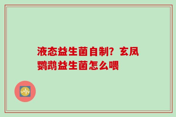 液态益生菌自制？玄凤鹦鹉益生菌怎么喂