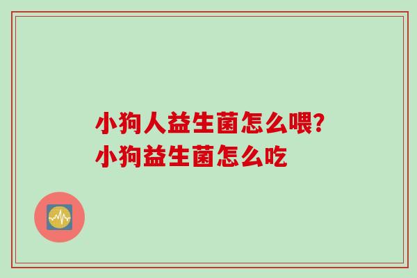 小狗人益生菌怎么喂？小狗益生菌怎么吃