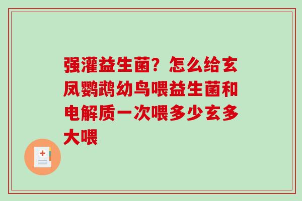 强灌益生菌？怎么给玄凤鹦鹉幼鸟喂益生菌和电解质一次喂多少玄多大喂