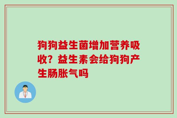 狗狗益生菌增加营养吸收？益生素会给狗狗产生肠吗