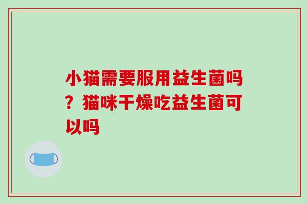 小猫需要服用益生菌吗？猫咪干燥吃益生菌可以吗