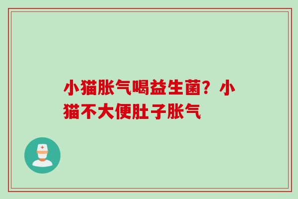 小猫胀气喝益生菌？小猫不大便肚子胀气