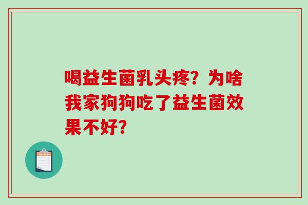 喝益生菌乳头疼？为啥我家狗狗吃了益生菌效果不好？