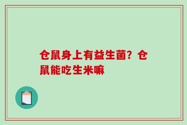 仓鼠身上有益生菌？仓鼠能吃生米嘛